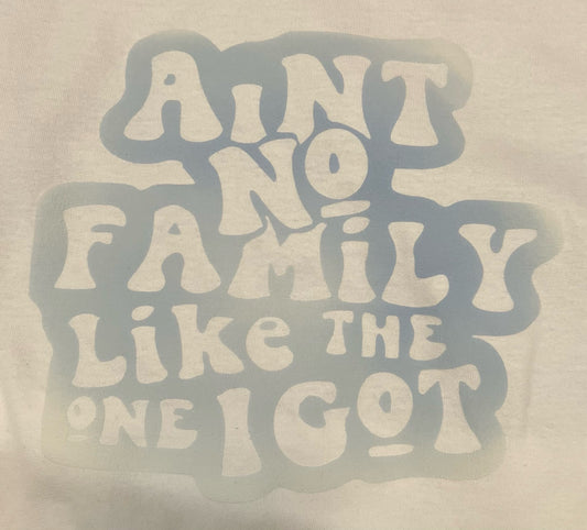 "Aint No Family Like The One I Got" Color Transition T-Shirt